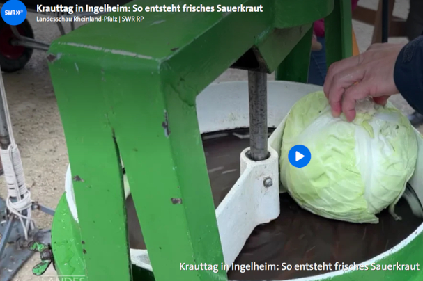 solawING Krauttag in Ingelheim: Bericht in der Landesschau RLP